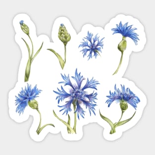 set of blu flowers Sticker